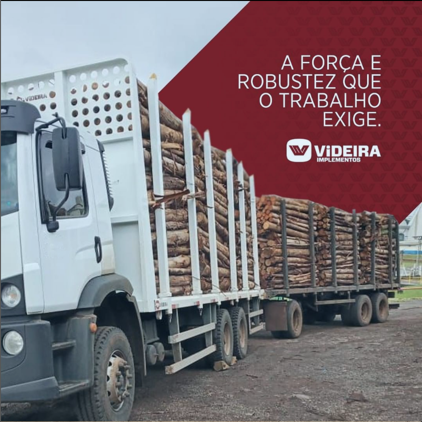 Força e Robustez